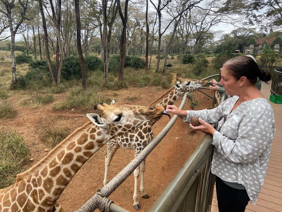 Elephant Orphanage and Giraffe Center Tour with Options - FAQ