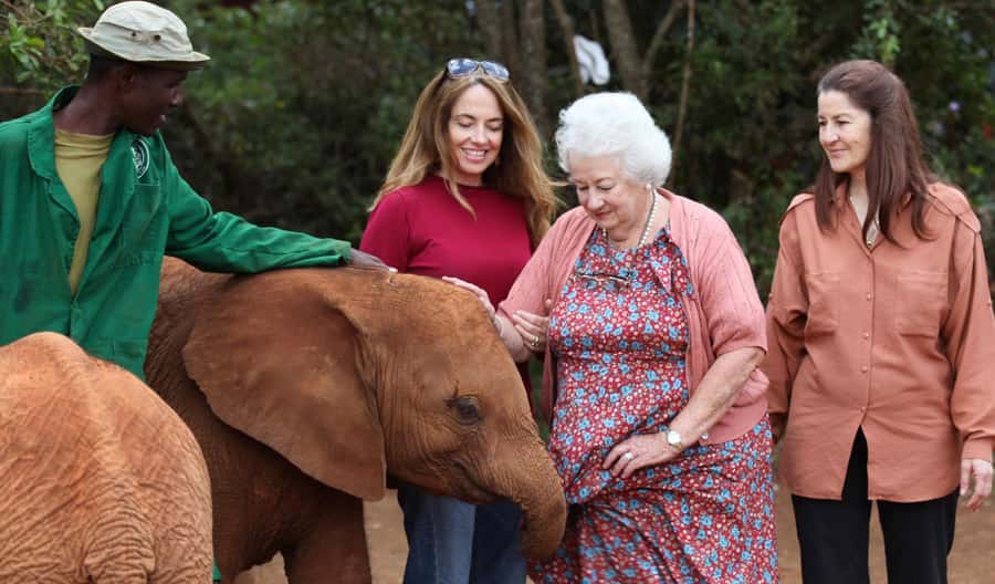 Elephant Orphanage,Giraffe Center&Karen Blixxen Day TripTour - Giraffe Center: semi-wild feeding you can actually control