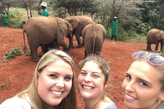 Elephant Orphanage, Giraffe Centre& optional Nairobi NationalPark - Best fit: who will enjoy this most