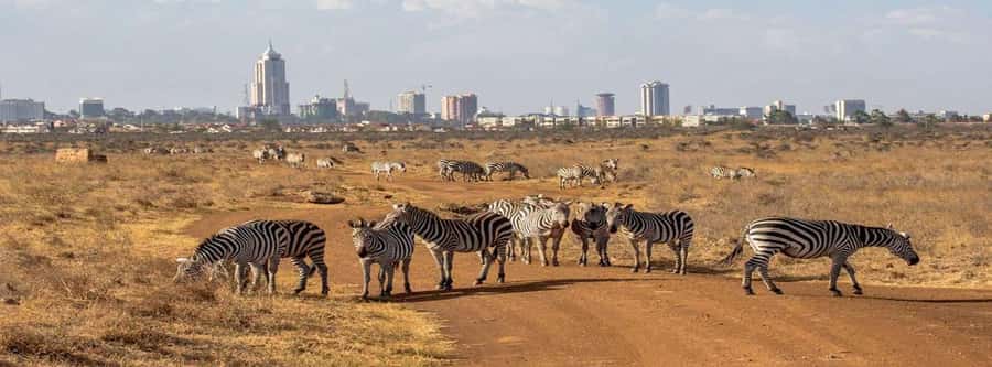 Elephant Orphanage, Giraffee Center, Karen Blixxen Meseum - Price and value: what $34 covers, and where extra fees may apply