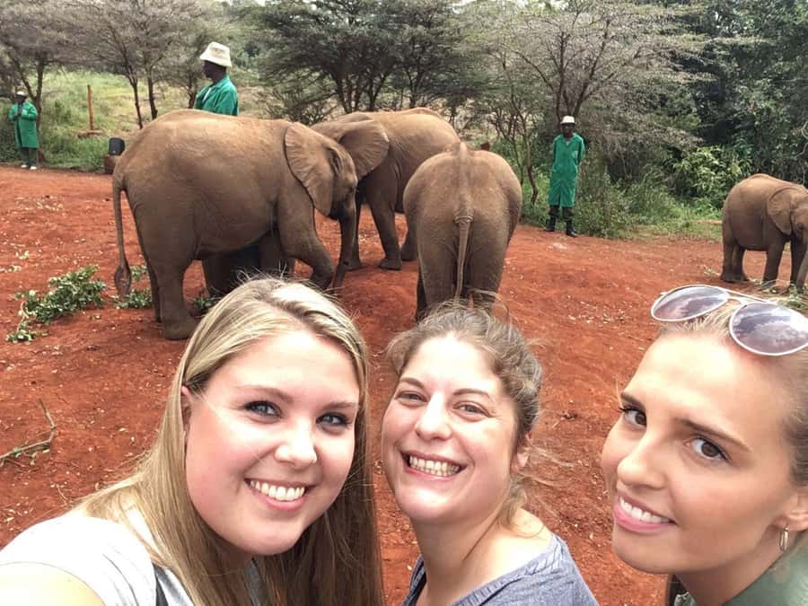 Elephant Orphanage Trust, Giraffes & Bomas of Kenya Day Tour - What to bring, and how to pace yourself