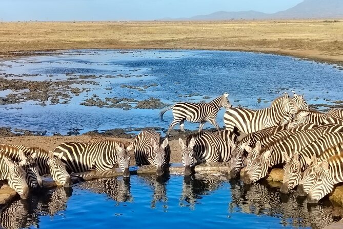 Elky Tours 2 Days Tsavo East Tour - Key points to know before you go
