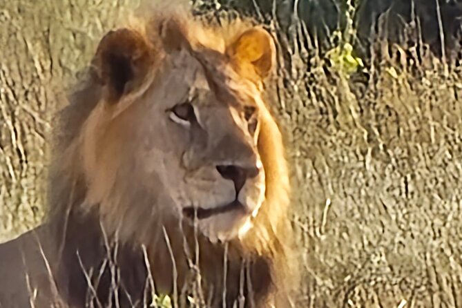 Elky Tours 2 Days Tsavo East Tour - Two Days in Tsavo East from Diani Beach: What the Timing Really Means