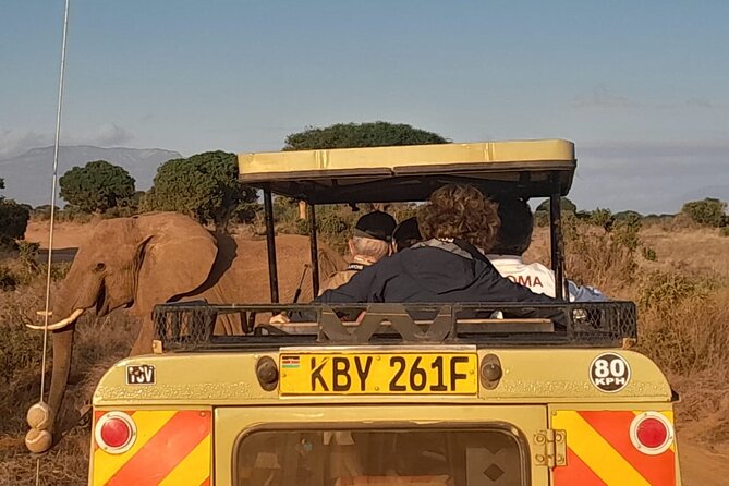 Elky Tours 2 Days Tsavo East Tour - Day 2 Schedule: Coffee, Short Morning Drive, Exit-Route Viewing