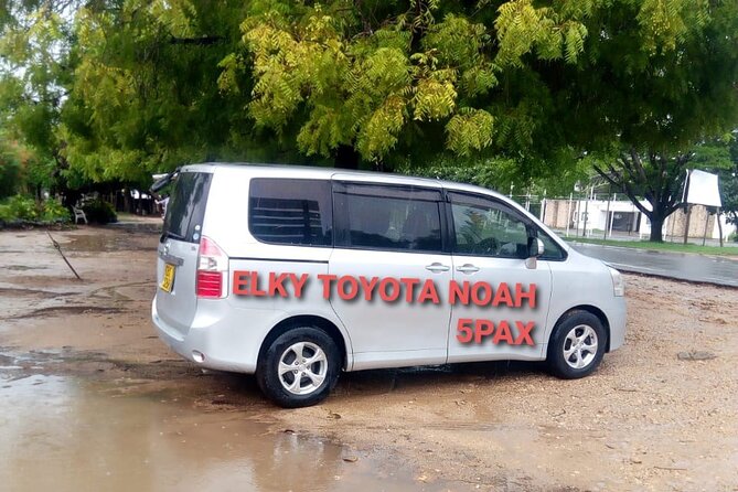 Elkydianibeachtaxis - Key Points You Should Know Before You Go