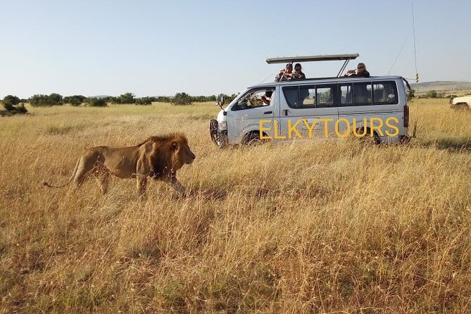 Elkydianibeachtaxis - How the Pickup Really Works (And Why It Matters)