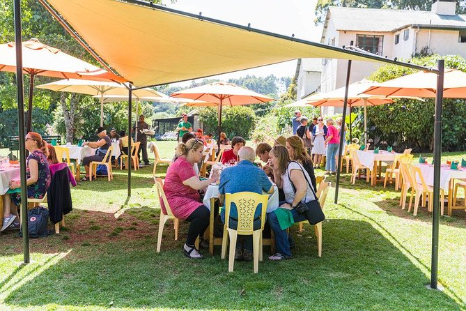 Excursion to Kiambethu Tea Farm - Nairobi pickup and small-group day trip logistics that keep things easy