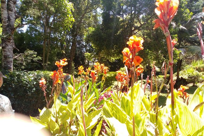 Excursion to Kiambethu Tea Farm - Price and what you get for $140 per person
