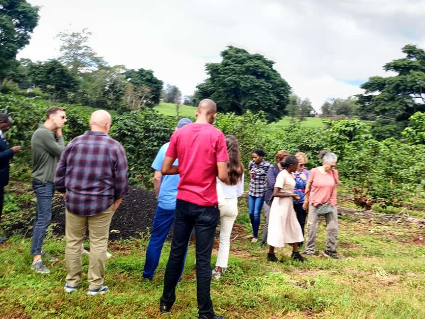 FAIRVIEW COFFEE FARM DAY TOUR - Key things I’d circle before you book