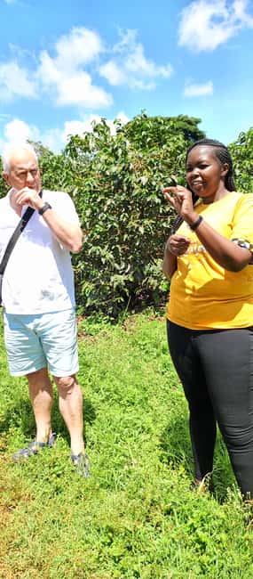 FAIRVIEW COFFEE FARM DAY TOUR - Walking the farm: what you should look for on your guided route