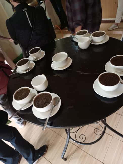 FAIRVIEW COFFEE FARM DAY TOUR - Two daily sessions: 10am-12noon or 2pm-4pm