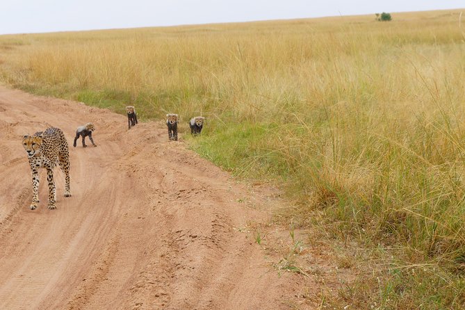Family & Friends safari Full package . - Lake Naivasha by Boat: Crescent Island in a Different Kind of Safari