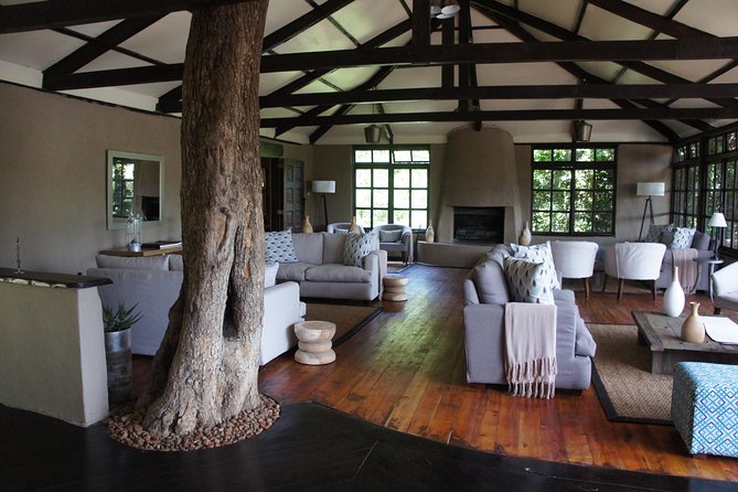 Family & Friends safari Full package . - Maasai Mara Big Five Days: Afternoon Drive, Then a Whole Day Picnic