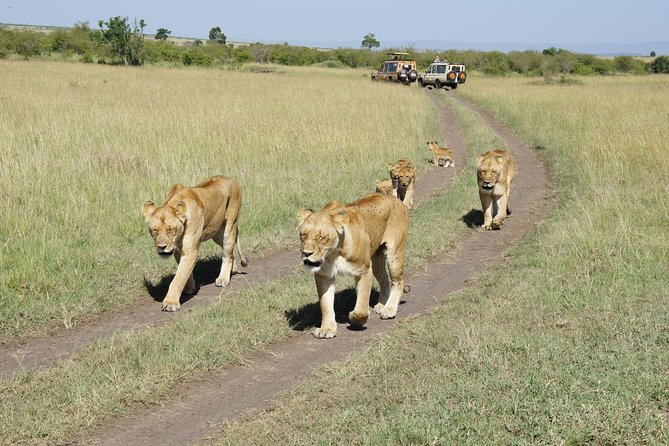 Family & Friends safari Full package . - Diani Beach Free Days, Plus a Shopping Mall Walk