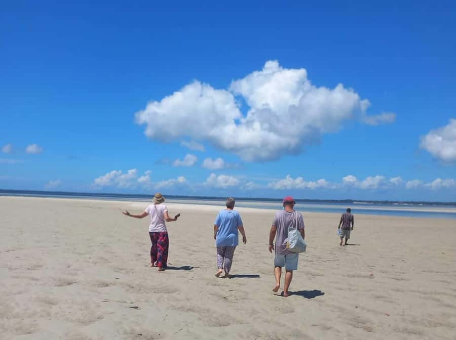 From Diani Beach: Funzi Island Full Day Excursion with Lunch - The Motorized Canoe Up the Ramisi River: Birds, Mangroves, and Tense Beauty