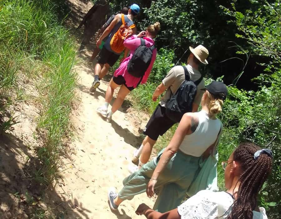 From Diani: Full Day Shimba hills tour with Sheldrick Falls - Shimba Hills from Diani: why this reserve feels special