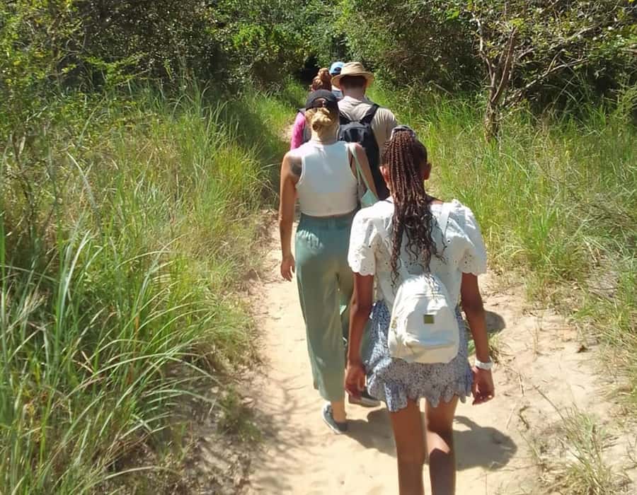 From Diani: Full Day Shimba hills tour with Sheldrick Falls - The Shimba Hills game drive: what you are likely to see