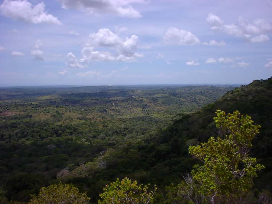 From Diani: Full Day Shimba hills tour with Sheldrick Falls - Practical tips: packing, rules, and how to make the day smoother