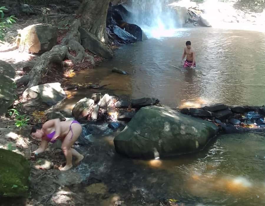 From Diani: Full Day Shimba hills tour with Sheldrick Falls - Getting there: pickup timing, drive time, and what affects the day length