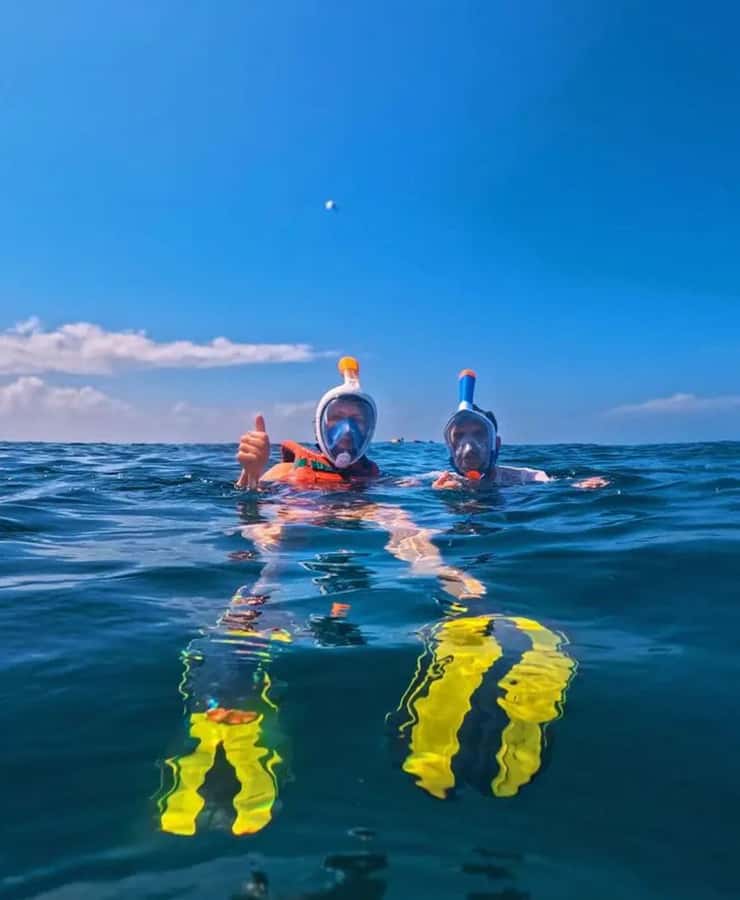 From Mombasa: Kisite Mpunguti Marine Park and Wasini Island - Key highlights worth knowing
