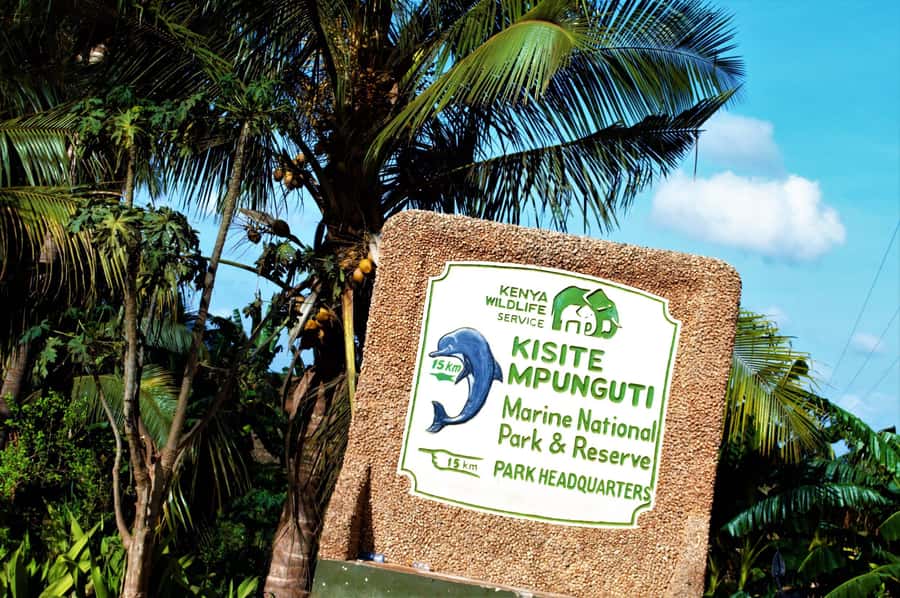 From Mombasa: Kisite Mpunguti Marine Park and Wasini Island - Kisite Mpunguti Marine Park snorkeling, where the reef is the main event