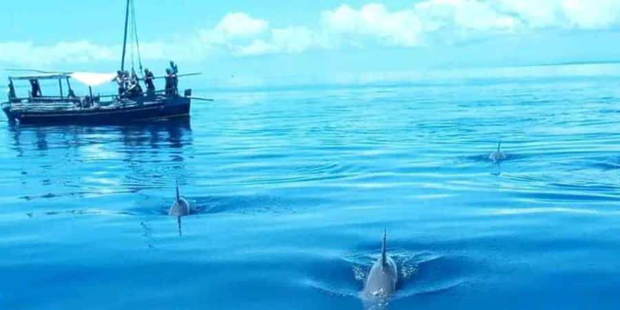 From Mombasa: Kisite Mpunguti Marine Park and Wasini Island - Wasini Island lunch and the 30-minute village walk