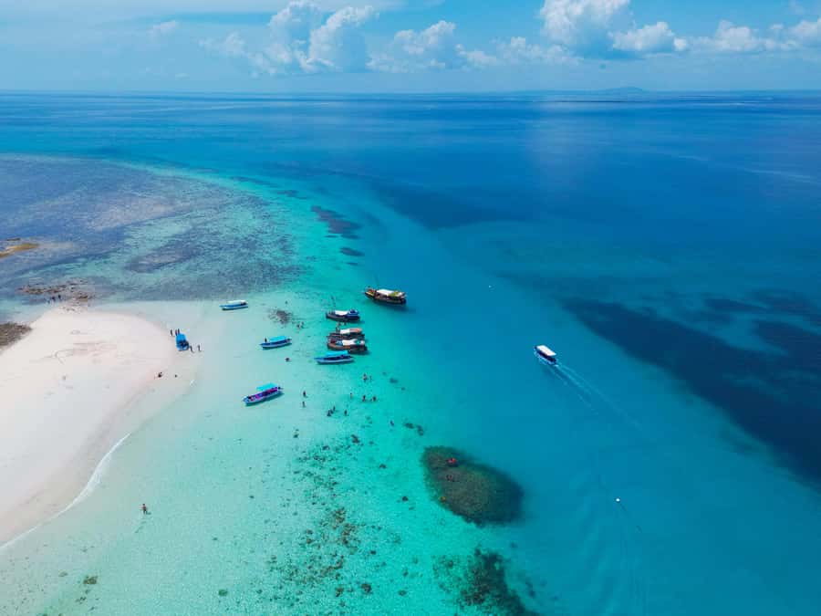 From Mombasa: Kisite Mpunguti Marine Park and Wasini Island - Shimoni Slave Caves, a short visit that matters