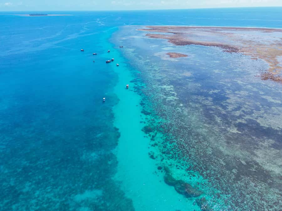 From Mombasa: Kisite Mpunguti Marine Park and Wasini Island - Where this tour fits best (and when you should reconsider)