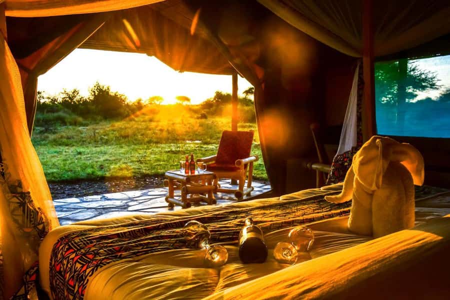 From Nairobi: 2-Day Naivasha Safari with Accommodation - Who this safari suits best (and who should think twice)