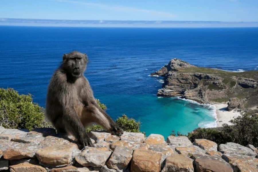 From Nairobi: 2-Day Naivasha Safari with Accommodation - Practical tips to help your two days run smoother
