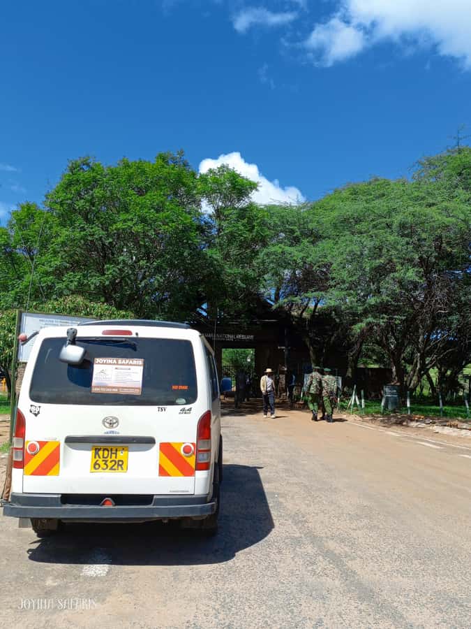 From Nairobi : 2-Days 1-Night Masai Mara Private 4WD Safari - From Nairobi to Masai Mara, with two Day 1 styles