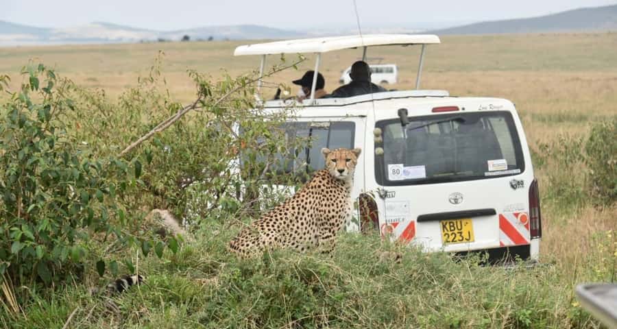 From Nairobi : 2-Days 1-Night Masai Mara Private 4WD Safari - Mara River odds: wildebeest migration plus water predators