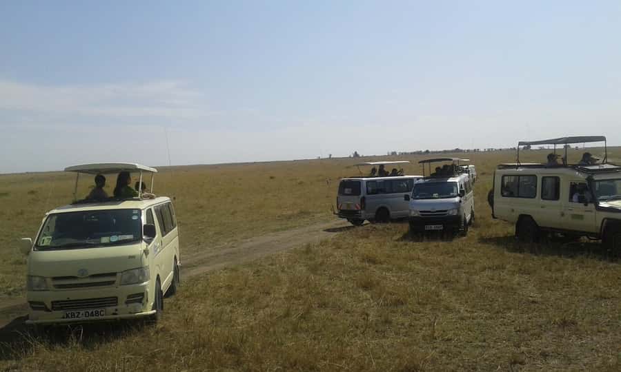 From Nairobi: 3 Days, 2 Nights Maasai Mara Group Safari - Maasai Mara, done right for a short 3-day window