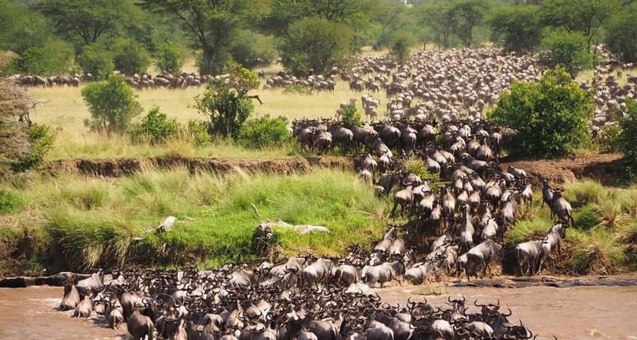 From Nairobi:3-Days 2-Nights Maasai Mara Group Safari in 4WD - Nairobi to Maasai Mara, starting with the right kind of road trip