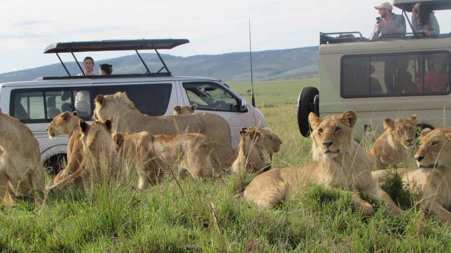 From Nairobi:3-Days 2-Nights Maasai Mara Group Safari in 4WD - Where you sleep: budget comfort with private bath and real hot showers