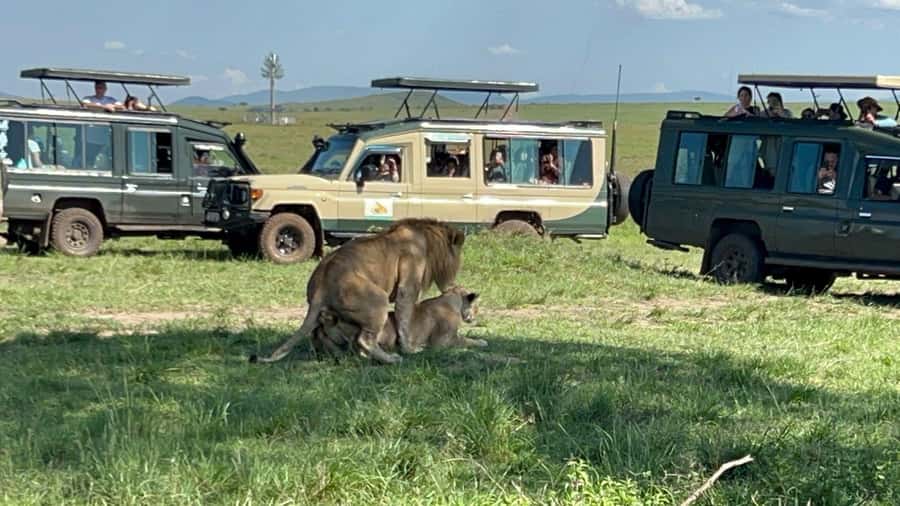 From Nairobi:3-Days 2-Nights Maasai Mara Group Safari in 4WD - Park drive strategy: why Day 1 evening and Day 2 full day works