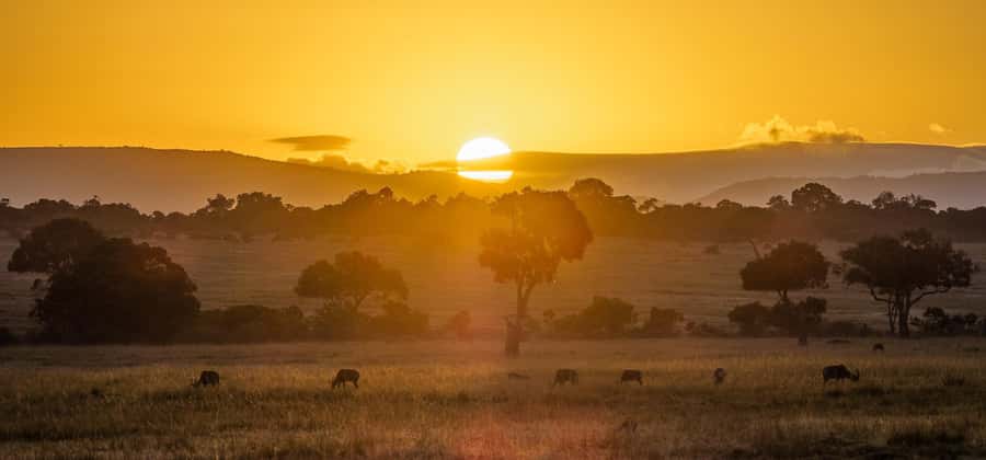 From Nairobi: 3 Days 2 Nights Masai Mara Group Safari - Rhino Tourist Camp Style Comfort, Meals, and the Practical Tent Setup