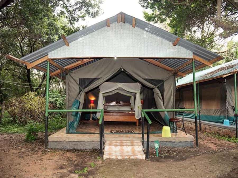 From Nairobi: 3 Days 2 Nights Masai Mara Group Safari - Day 3 Return to Nairobi, Plus the Maasai Village Option