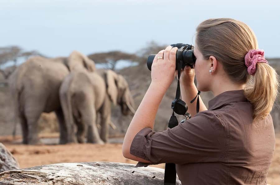 From Nairobi: Day Trip to Amboseli National Park - Entering Amboseli National Park: Kilimanjaro Photos First, Then Wildlife