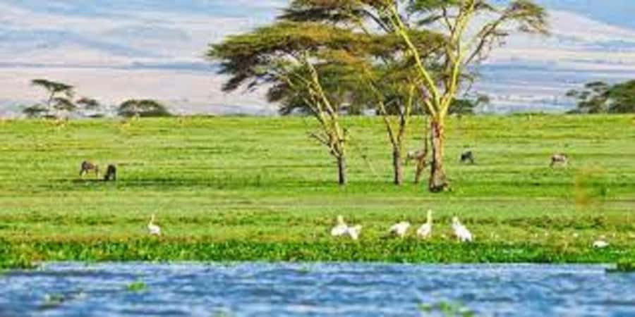 From Nairobi: Day Trip to Hells gate and Lake Naivasha - Packing tips that match the actual activities