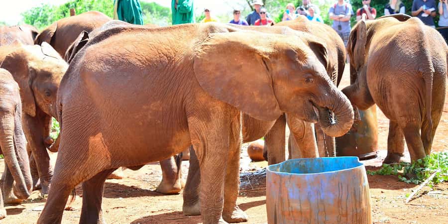 From Nairobi: Elephant Orphanage and Giraffe Center Day Trip - Kazuri Beads Factory: handcrafted jewellery with real community impact