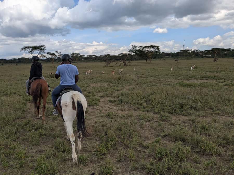 From Nairobi: Horseback Wildlife Safari with Transfer & Meal - Nairobi to Naivasha: the drive that sets the tone