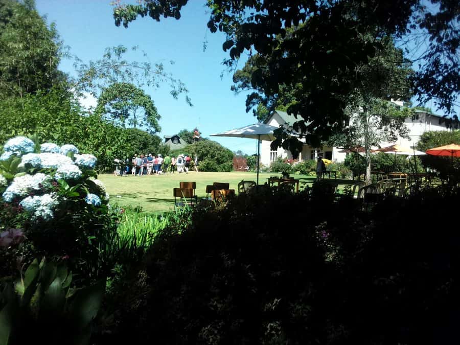 From Nairobi: Kiambethu Tea Farm Tour & Lunch - Price and value: does $160 make sense for this 6-hour experience?