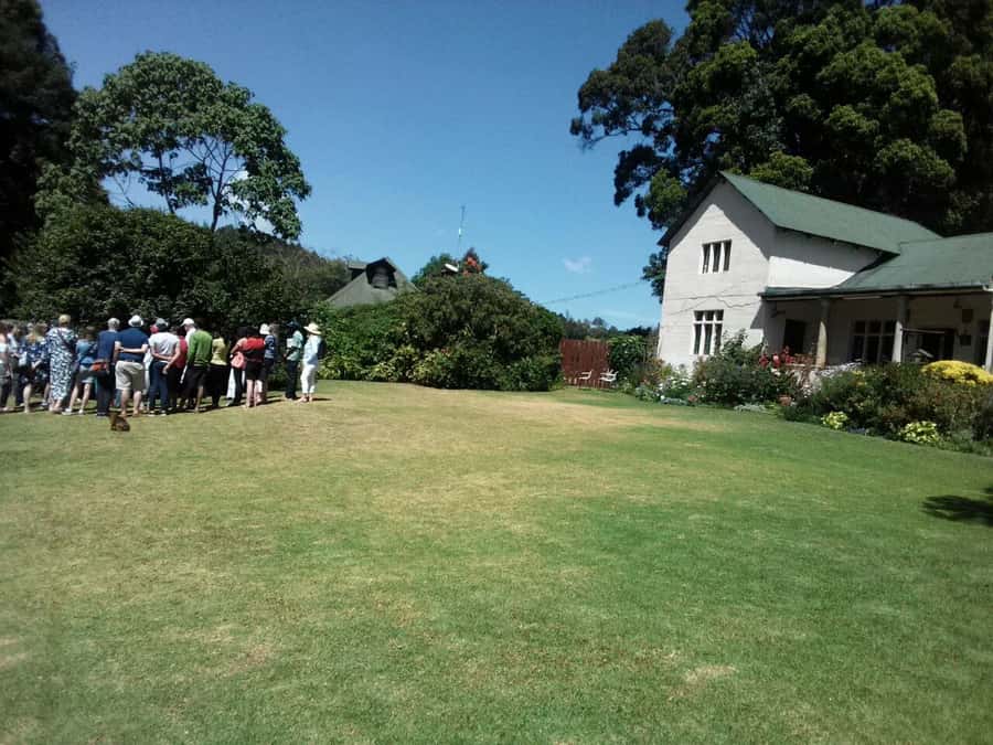 From Nairobi: Kiambethu Tea Farm Tour & Lunch - A note on drivers and what makes the van ride work