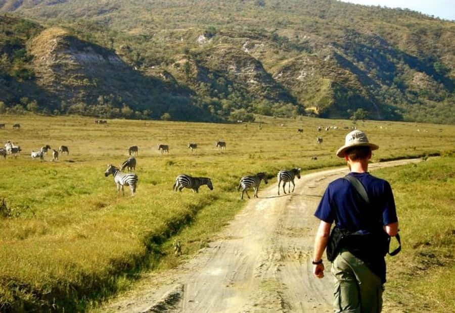 From Nairobi: Lake Naivasha and Hell's Gate Park Day Tour - Key things that make this tour worth your time