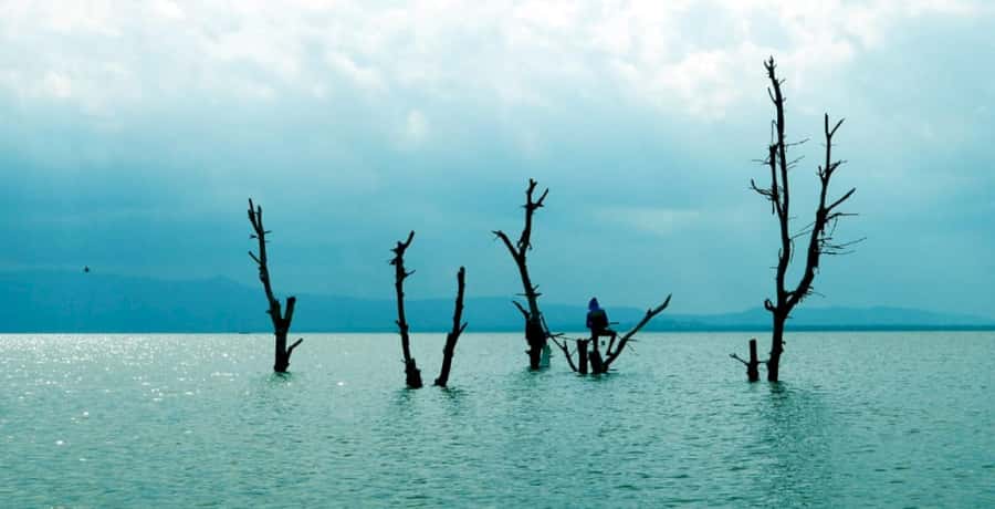 From Nairobi: Lake Naivasha and Hell's Gate Park Day Tour - Lunch planning: where it fits, and what you need to budget