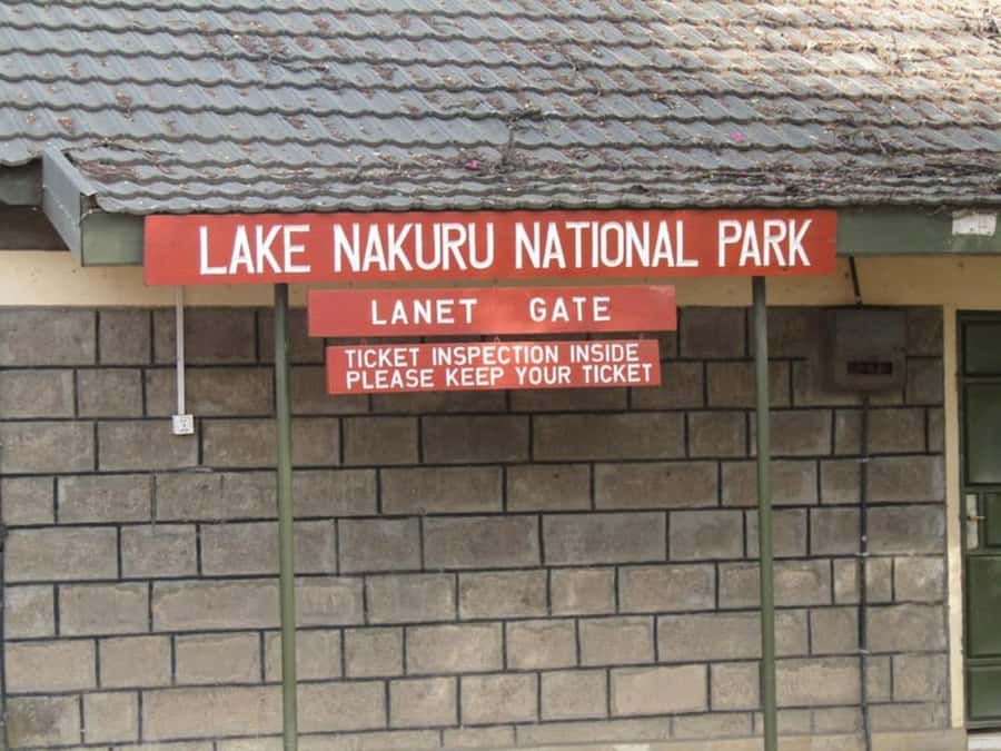From Nairobi: Lake Nakuru National Park Full-Day Tour - Entering Lake Nakuru National Park: what the game drive is really like