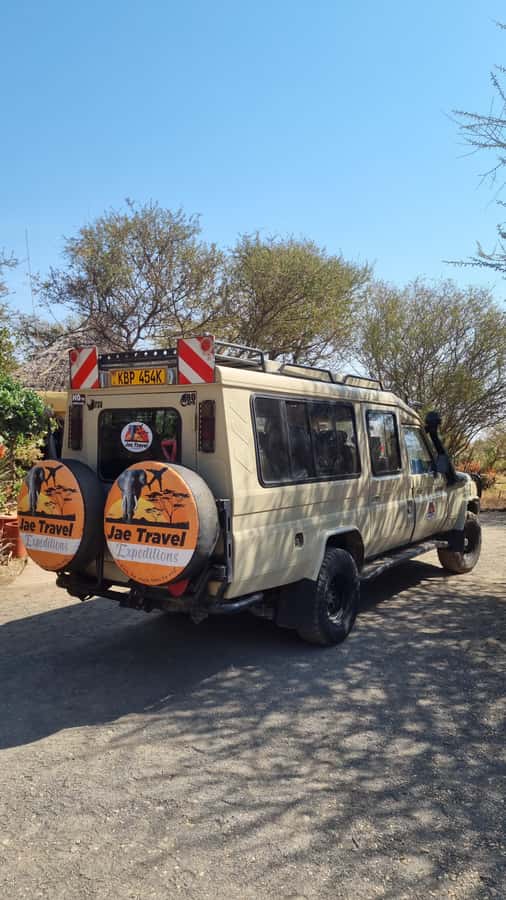 From Nairobi: Maasai Mara 1-Day Safari: AW, Lunch & Pickup - Key Takeaways Before You Go