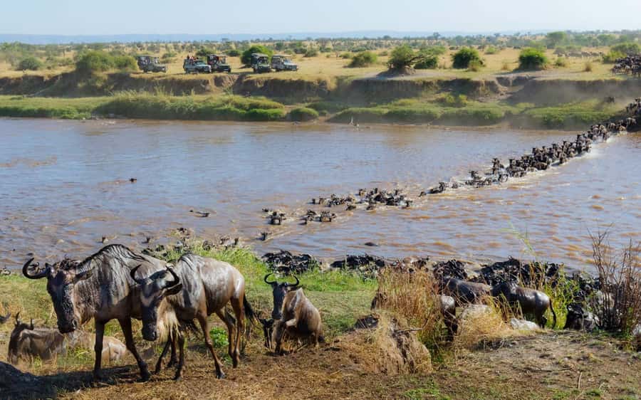 From Nairobi: Maasai Mara 3Day Budget Safari Holiday on Jeep - Day 1 in Maasai Mara: check-in, refresh, then a prime evening drive