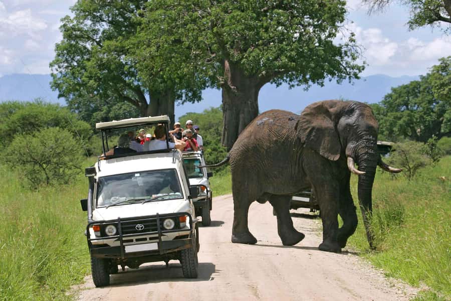 From Nairobi: Masai Mara 3-day Camping Safari by Jeep - Masai Mara in three days, and why camping changes the feel